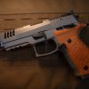 STEYR ARMS ATC Rock 5" OR - Carl Lieber
